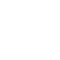 Dump Run/Junk Removal